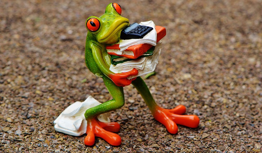 rana che corre a lavoro