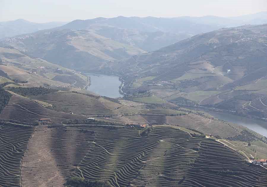 douro valle