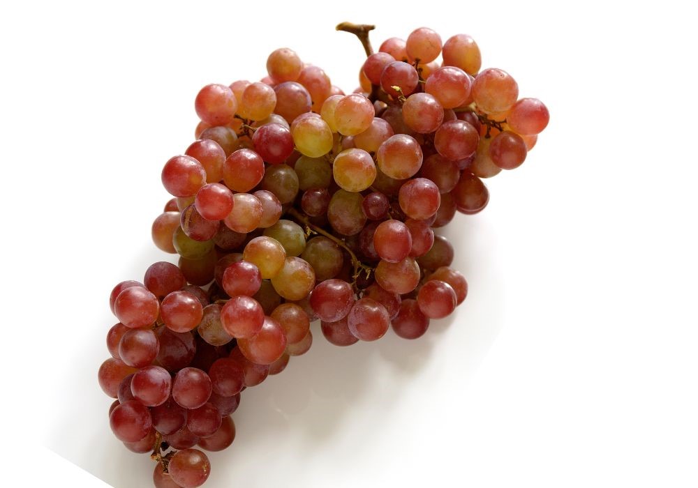 moscato uva