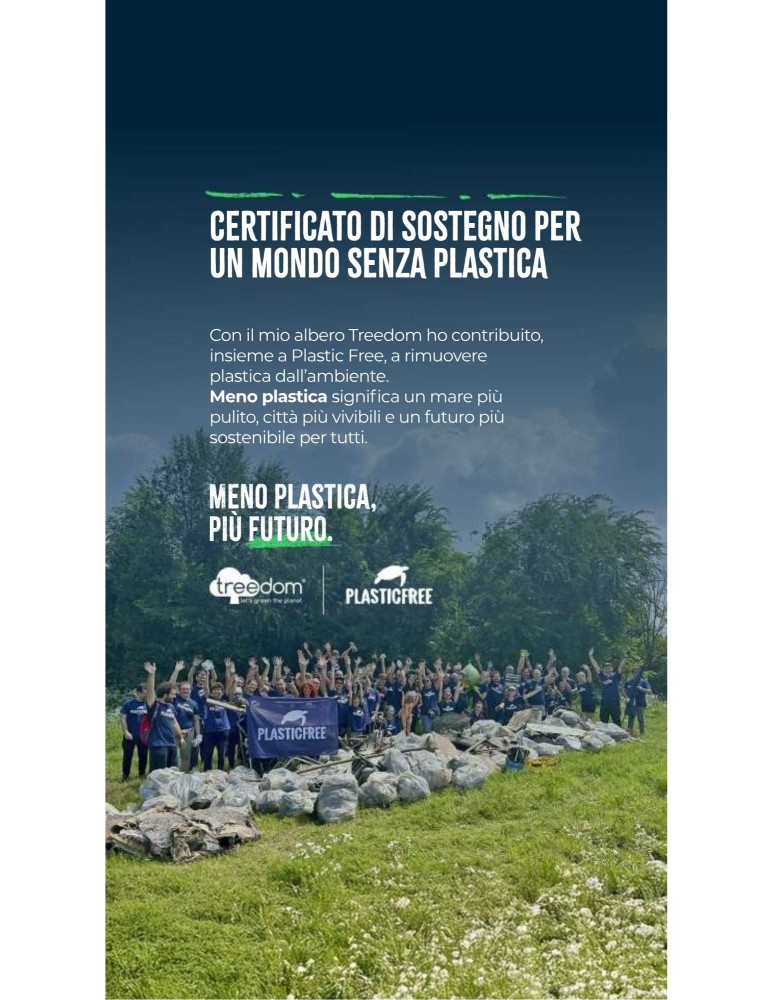 certificato Ravazzi Treedom