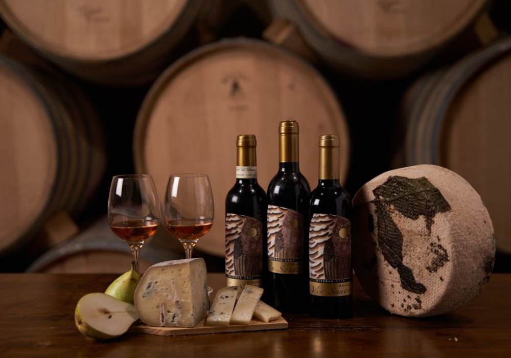 vino e formaggio